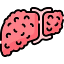 Hepatic Diseases
