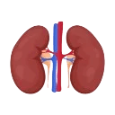 Kidney Diseases